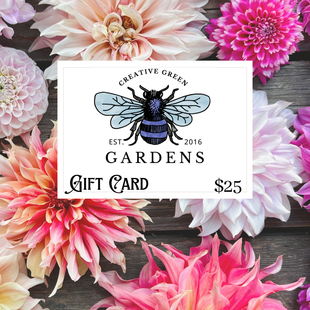Physical Gift Card Sent in Mail