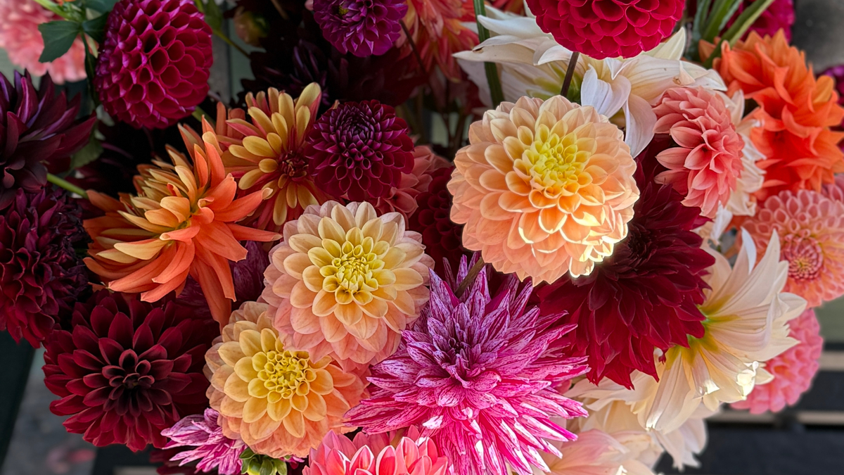 Fresh Flowers for Delivery or Pick Up