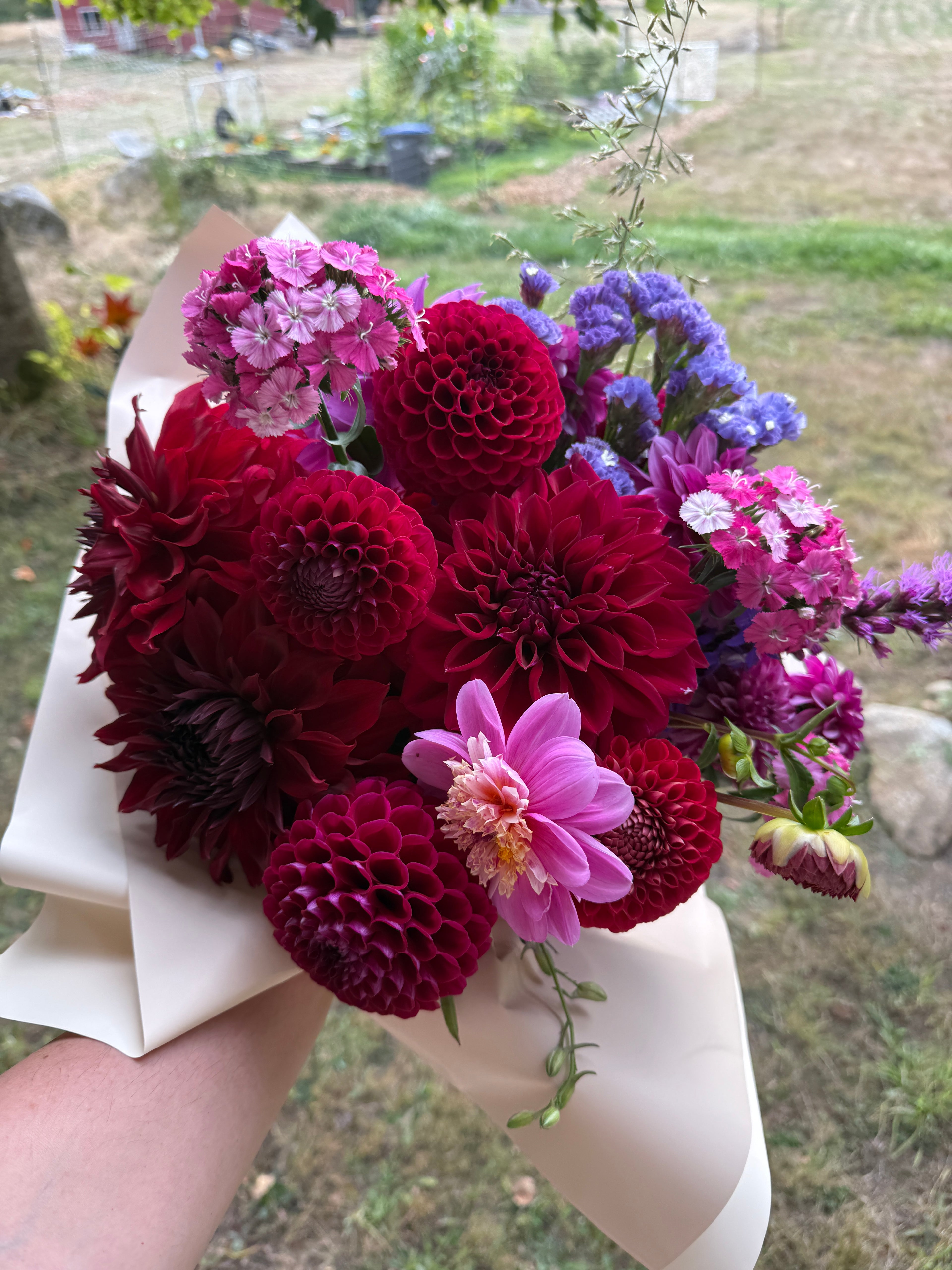 A medium market bouquet from Creative Green Gardens featuring pink and purple flowers