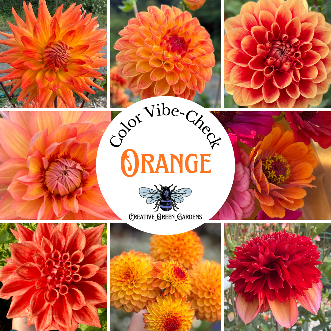 Fresh Flower Bouquet featuring Dahlias