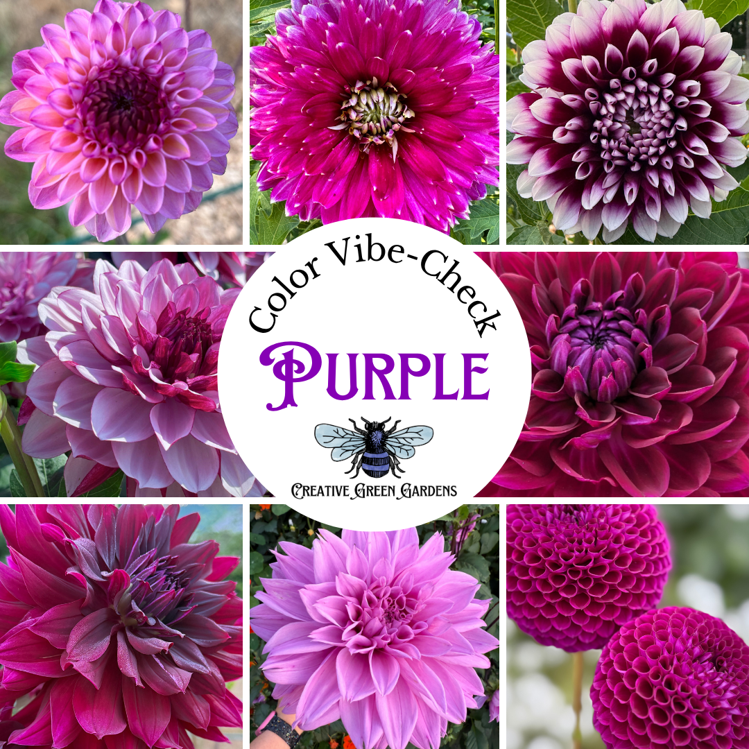 Fresh Flower Bouquet featuring Dahlias