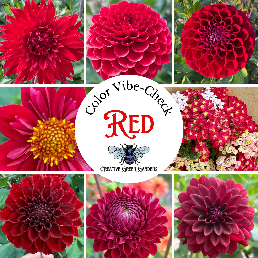 Fresh Flower Bouquet featuring Dahlias