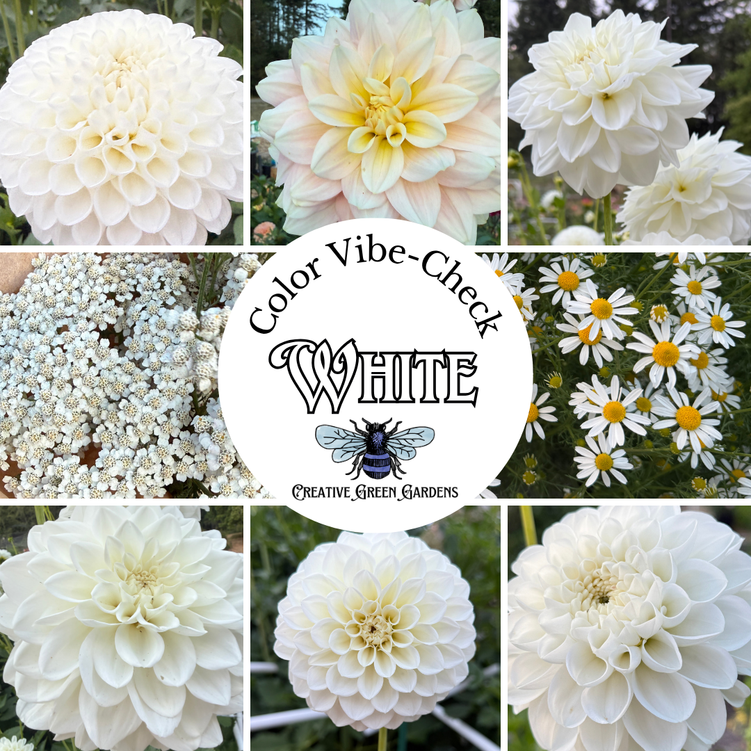 Fresh Flower Bouquet featuring Dahlias