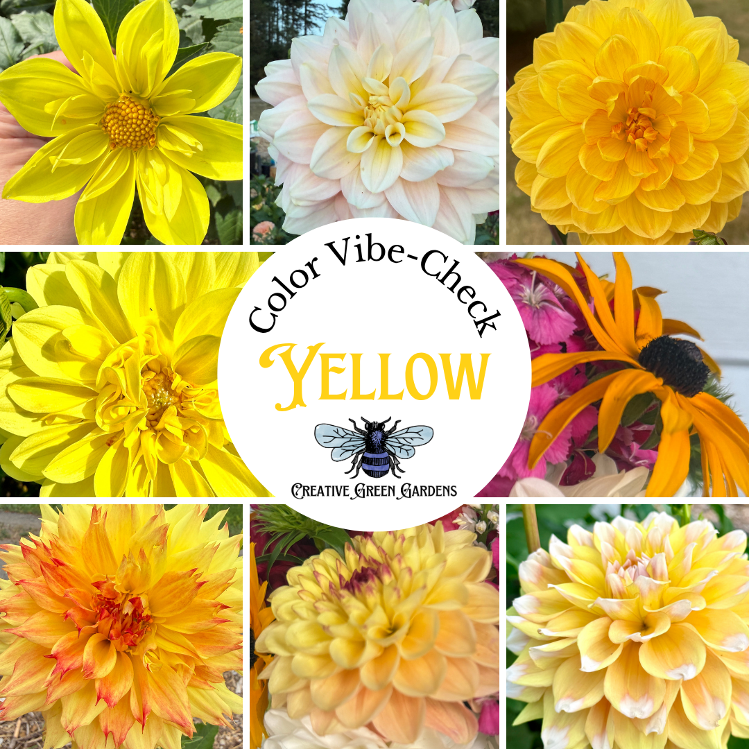 Fresh Flower Bouquet featuring Dahlias