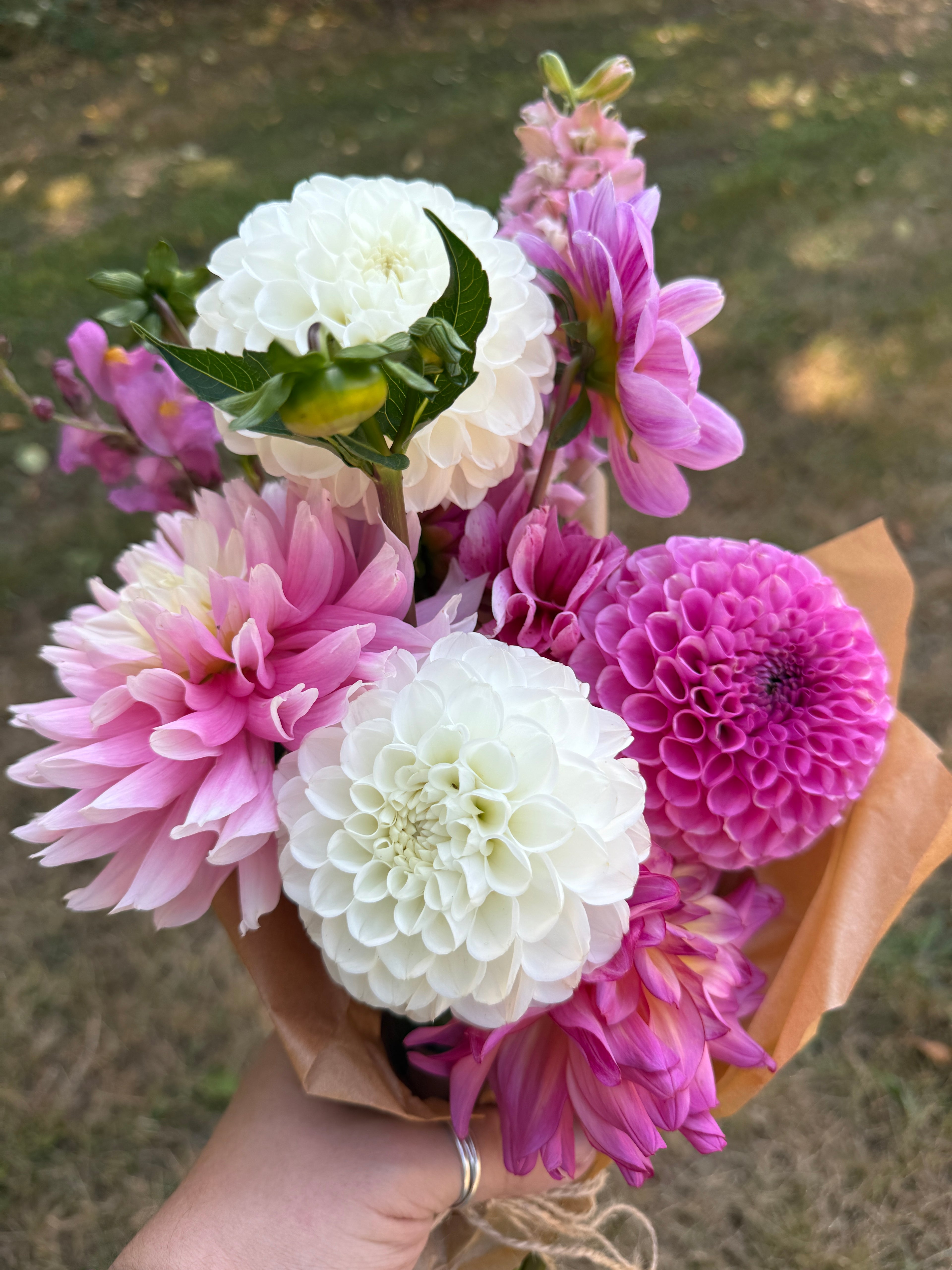 A small market bouquet from Creative Green Gardens featuring pink and white flowers
