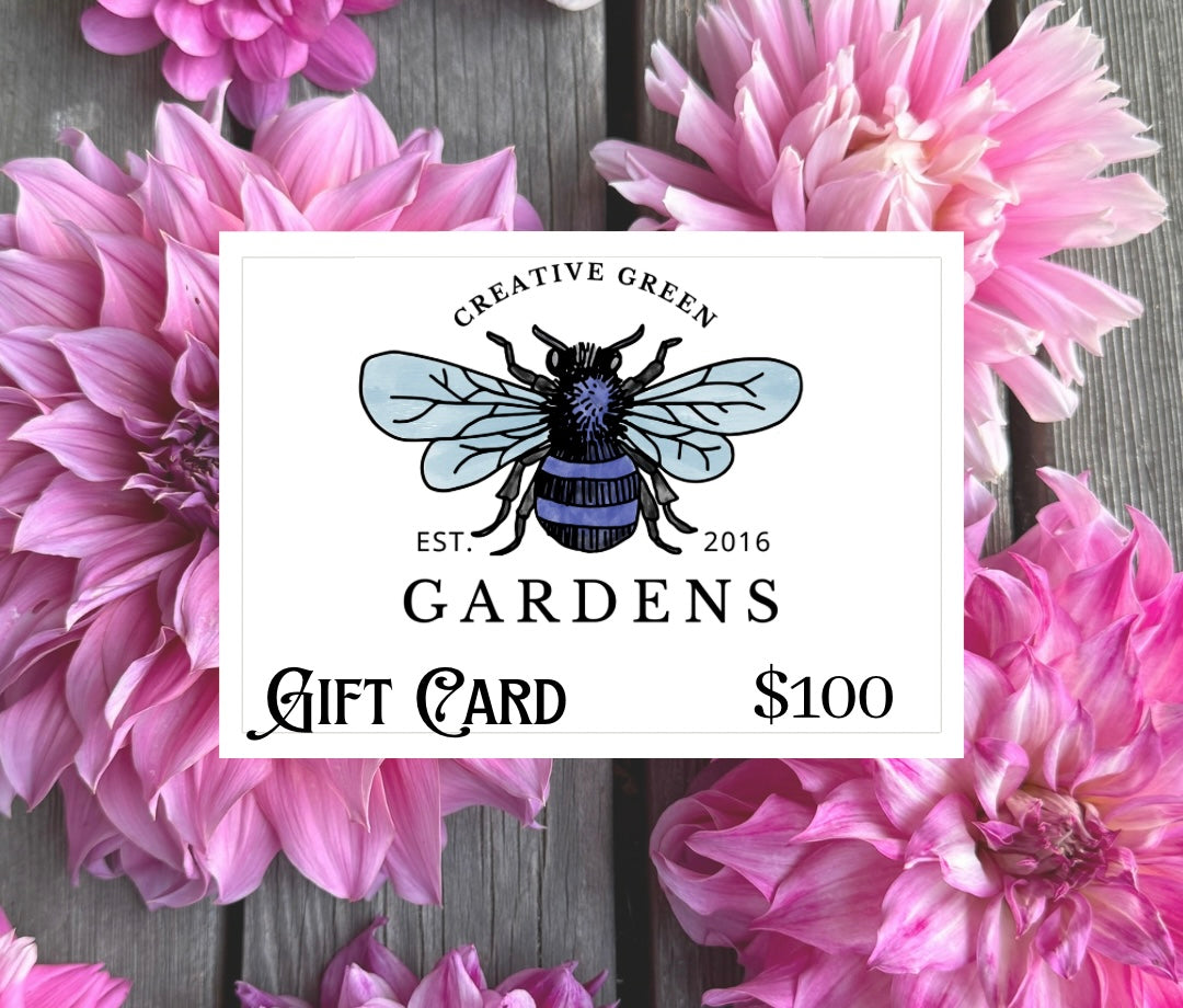 Creative Green Gardens giftcard featuring dahlias and a mason bee.