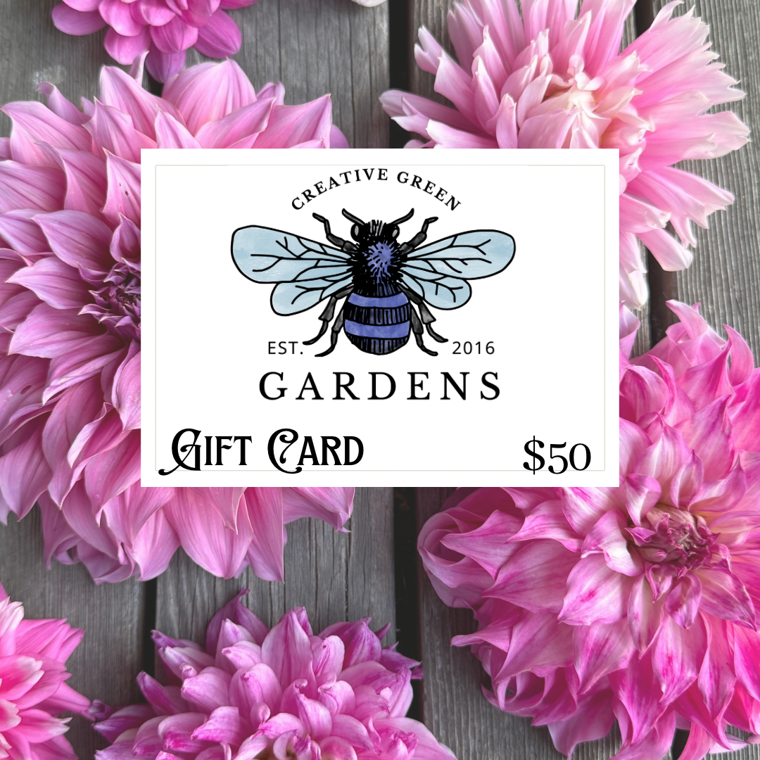 Digital Gift Card